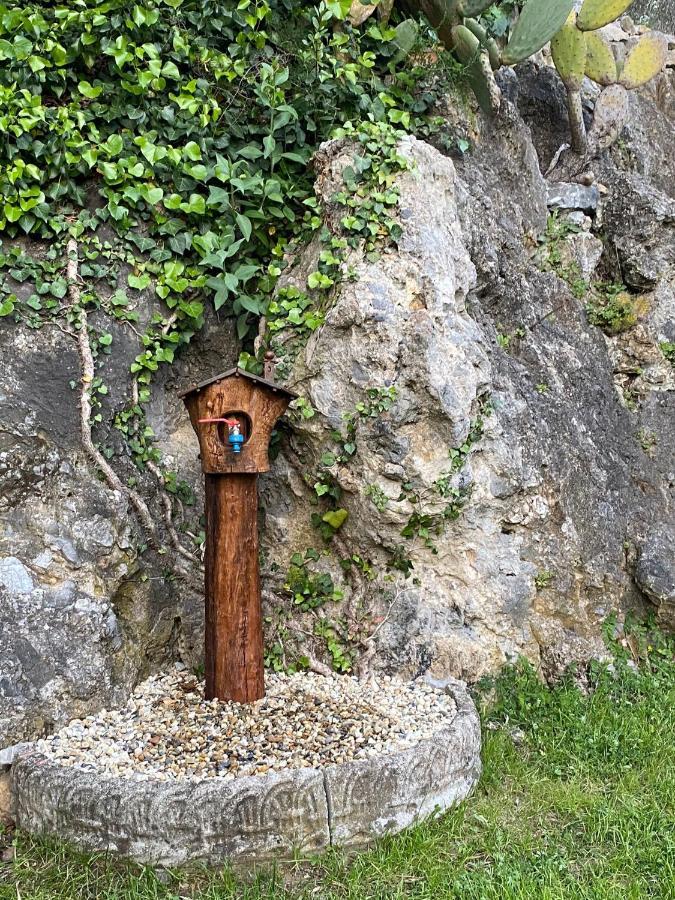 Villa Paolina Ceriale - App. 4 Posti Zewnętrze zdjęcie