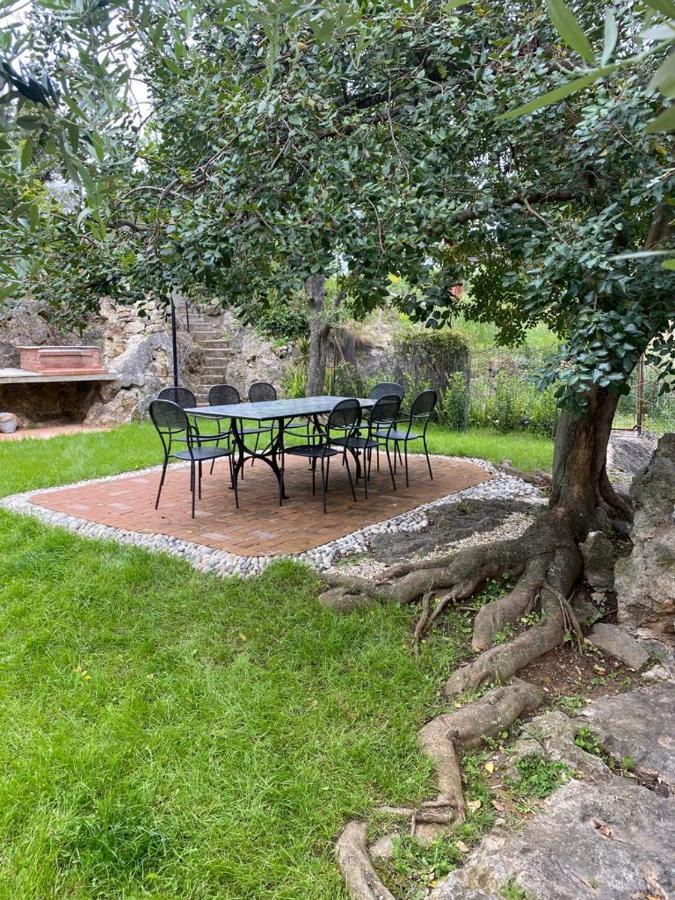 Villa Paolina Ceriale - App. 4 Posti Zewnętrze zdjęcie